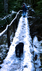 Trail to Annette Lake