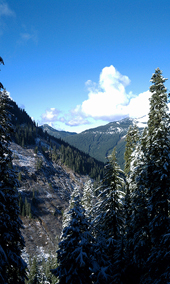 Trail to Annette Lake