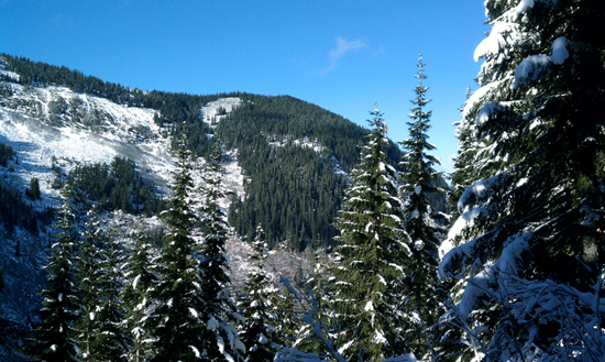 Trail to Annette Lake