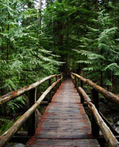 Asahel Curtis Nature Trail