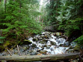 Asahel Curtis Nature Trail