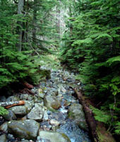 Asahel Curtis Nature Trail