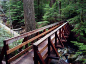 Asahel Curtis Nature Trail