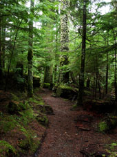 Asahel Curtis Nature Trail