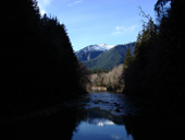 Middle Fork