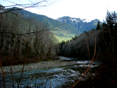 Middle Fork