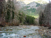 Middle Fork