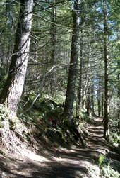 Rattlesnake Ledge and East Peak