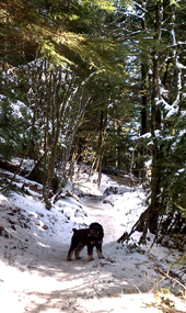 Rattlesnake Ledge and East Peak