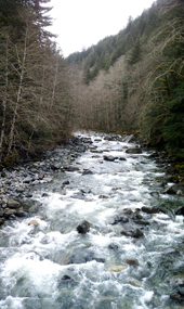 Taylor River