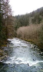 Taylor River